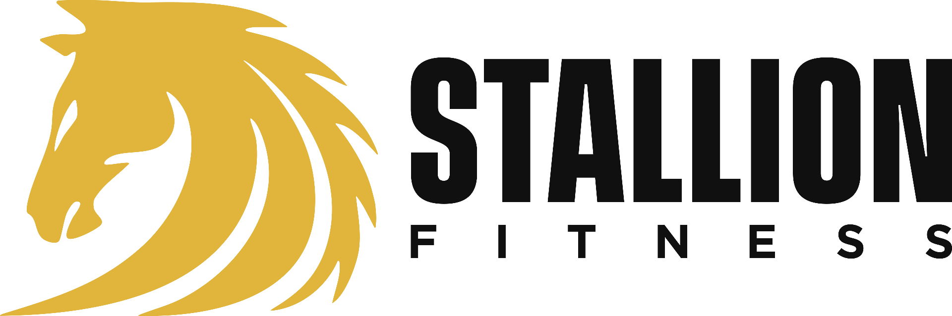 Stallion Fitness Center